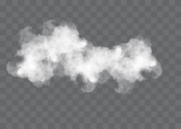 Transparent Special Effect Stands Out Fog Smoke White Cloud Vector — Stock Vector