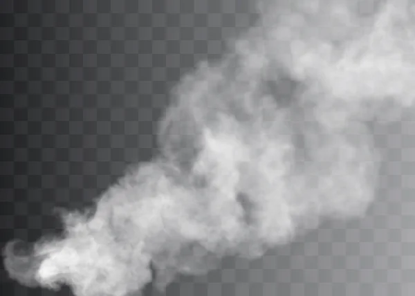 Şeffaf özel efekt sis veya dumanla göze çarpar. Beyaz bulut vektörü, sis veya sis.