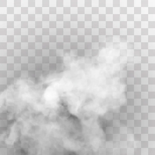 Transparante Special Effect Onderscheidt Zich Door Mist Rook Witte Wolkenvector — Stockvector