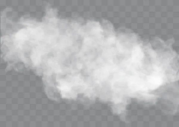 Şeffaf özel efekt sis veya dumanla göze çarpar. Beyaz bulut vektörü, sis veya sis.