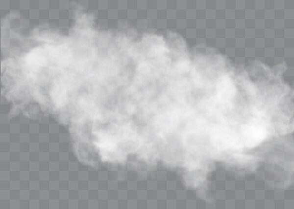Transparent special effect stands out with fog or smoke. White cloud vector, fog or smog.