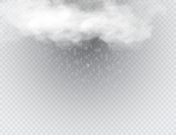 Rain and white cloud isolated on transparent background. Vector illustration