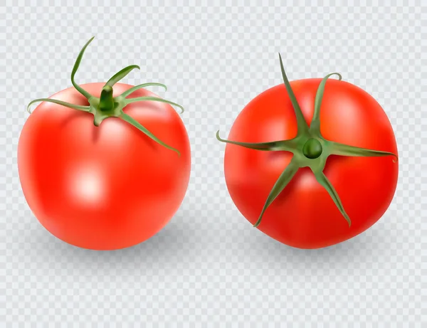 Tomatenset Vorhanden Rote Tomaten Sammeln Fotorealistische Vektortomaten Auf Transparentem Hintergrund — Stockvektor