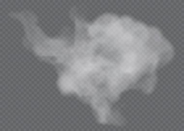 Sis ya da duman izole edilmiş şeffaf özel efekt. Beyaz vektör bulanıklığı, sis veya sis arkaplanı. Vektör illüstrasyonu
