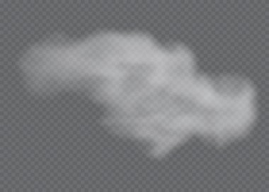 Sis ya da duman izole edilmiş şeffaf özel efekt. Beyaz vektör bulanıklığı, sis veya sis arkaplanı. Vektör illüstrasyonu