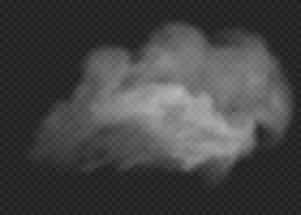 霧や煙の隔離された透明特殊効果 白いベクトルの雲 またはスモッグの背景 ベクターイラスト — ストックベクタ