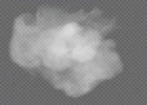 Effetto Speciale Trasparente Distingue Con Nebbia Fumo Vettore Nubi Bianche — Vettoriale Stock