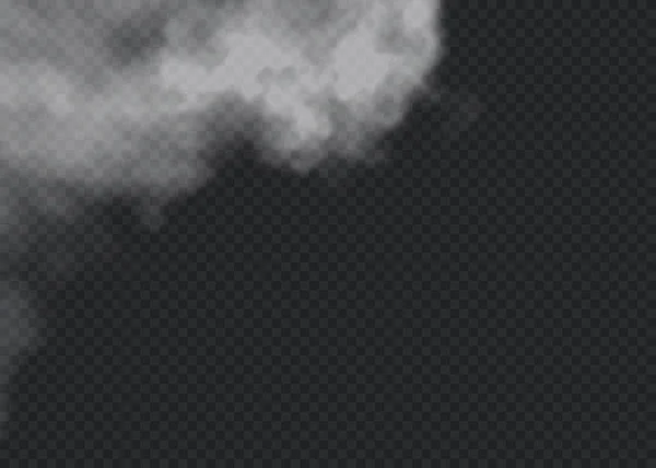 Διαφανές Ειδικό Εφέ Ξεχωρίζει Ομίχλη Καπνό Λευκό Διάνυσμα Νέφους Ομίχλη — Διανυσματικό Αρχείο
