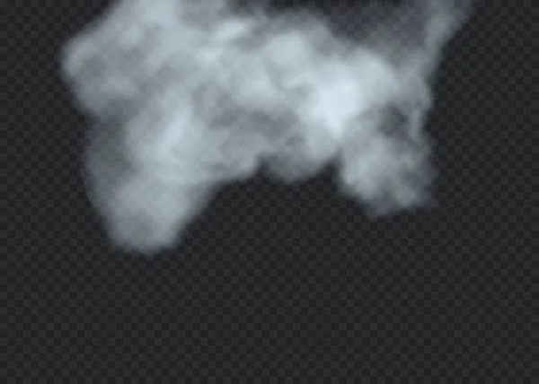 Átlátszó Speciális Hatás Ködben Vagy Füstben Jelenik Meg Fehér Felhő — Stock Vector