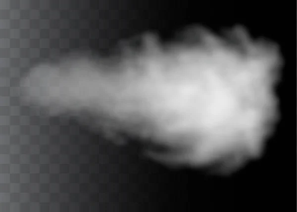 Прозрачный спецэффект выделяется туманом или дымом. Вектор белого облака, туман или смог. — стоковый вектор
