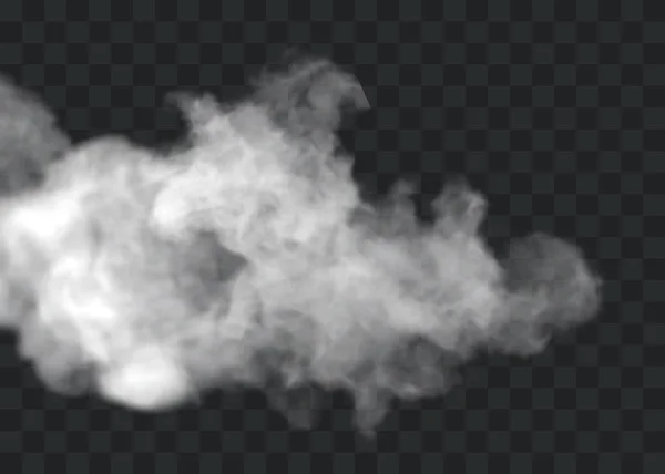 透明感のある特殊効果は霧や煙で際立ちます。白い雲のベクトル、霧またはスモッグ. — ストックベクタ