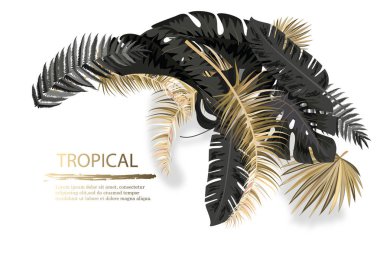 Vektör düzenleme ile siyah ve altın tropikal koyu arka plan üzerinde bırakır. Lüks egzotik botanik tasarım kozmetik, spa, parfüm, koku, güzellik salonları için.