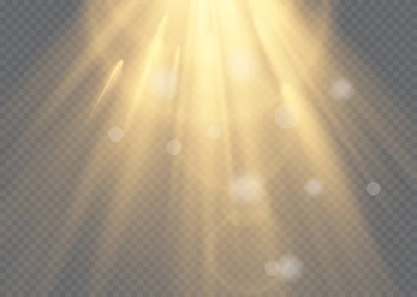 Vecteur transparent lumière du soleil lentille spéciale flash effect. Flou vectoriel à la lumière du rayonnement. Élément de décor. Rayons stellaires horizontaux et projecteurs. — Image vectorielle
