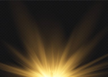 Işık, ışık ve sihirli parıltılarla özel efekt oluşturur. Şeffaf vektör ışık efekti seti, patlama, sim, kıvılcım, güneş ışığı.