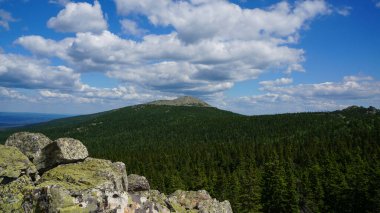 Yeşil ağaçların ve dağların tepesinden bak.