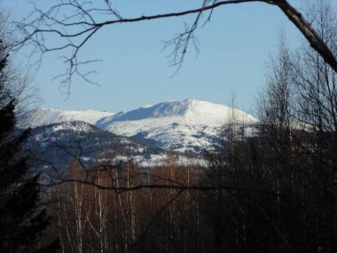 Rusya, Zyuratkul Ulusal Parkı: Sukan Geçidi 'nden Bolşoy Dağı' na manzara