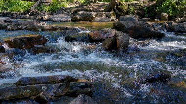 Su yarıkları. Ulusal parktaki küçük dağ nehri.