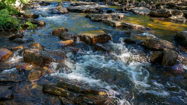 Ulusal parktaki küçük dağ nehri.