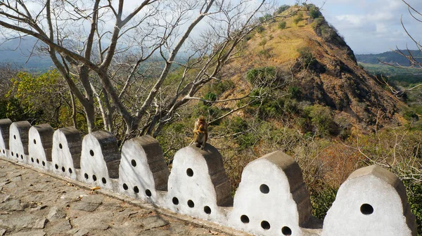 Singe Dans Temple Sur Montagne — Photo