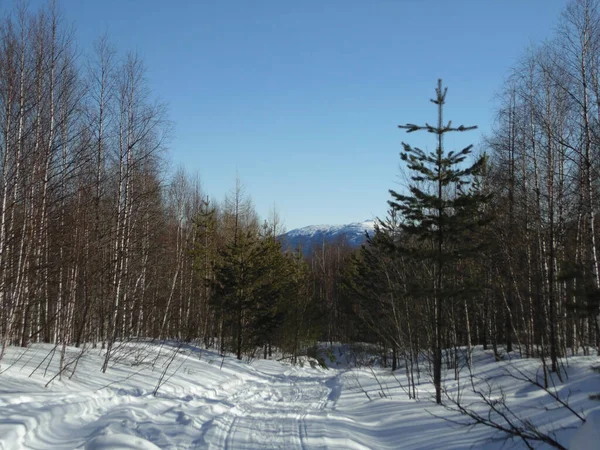 Big Suka Dağı 'na kış yolu. Zyuratkul Ulusal Parkı, Rusya