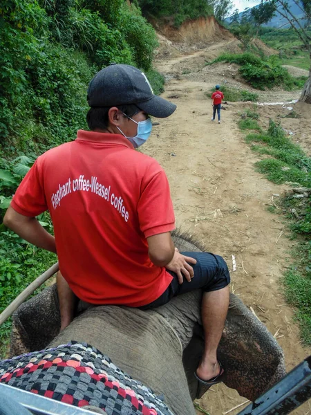 2015-09-21: Dalat, Vietnam - Prenn Ulusal Parkı 'nda fil çobanı