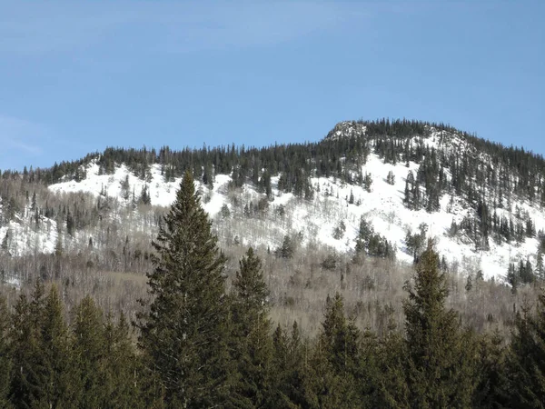 Rússia Zyuratkul National Park Moskal Ridge Inverno — Fotografia de Stock