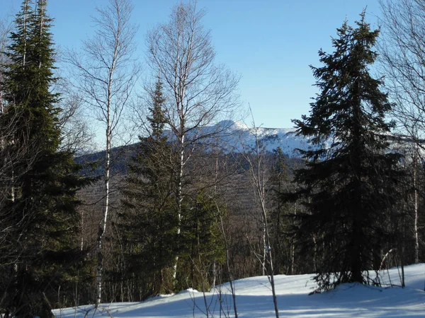 Rússia Parque Nacional Zyuratkul Montanha Uvan — Fotografia de Stock