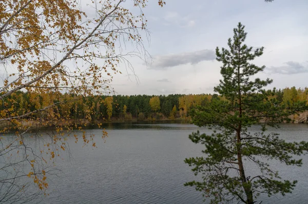 Fall Skogssjön Björk Och Furu — Stockfoto