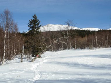 Rusya, Zyuratkul Ulusal Parkı: Bolşoy Dağı 'na kış patikası