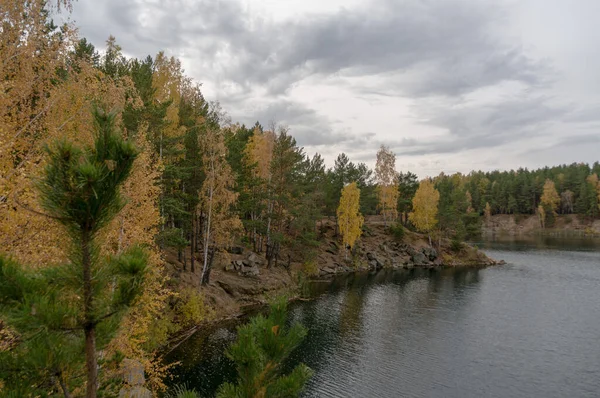 Fall Stranden Grop — Stockfoto