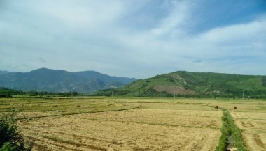 Vietnam yolları: hasattan sonra pirinç tarlaları. Khankhoa Eyaleti