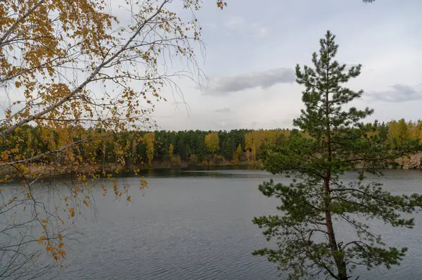 Spadnij Leśne Jezioro Drewno Brzozowe Sosnowe — Zdjęcie stockowe