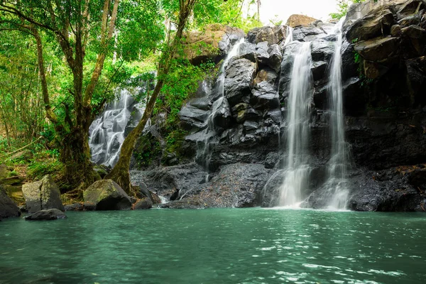 Cascading waterfall in rainforest falls into blue pool surrounded by lush tropical rain forest.