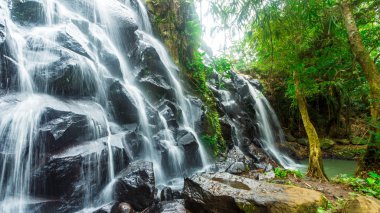 Yemyeşil yağmur ormanları ile çevrili basamaklı bir su falı altında - doğa manzara konsept görüntüsü.