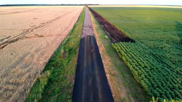 日落时分 一个人骑着自行车沿着黄色的麦田 沿着一片绿地 — 图库视频影像