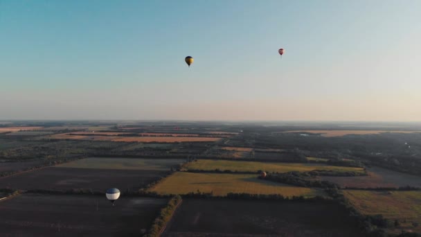 Beaux Ballons Survolent Forêt Parc Ville — Video