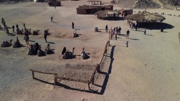 Vue Sur Désert Sahara Montagnes Désertiques Maisons Bédouines Bois Sables — Video