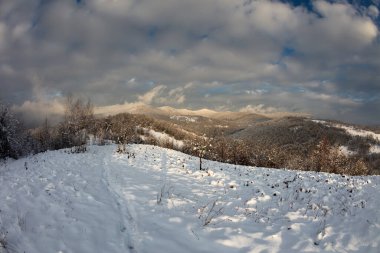 Karpatya dağları karda. Karda ağaçlar. Kar yağışı. Dağlarda gün batımı. Güzel bulutlar.