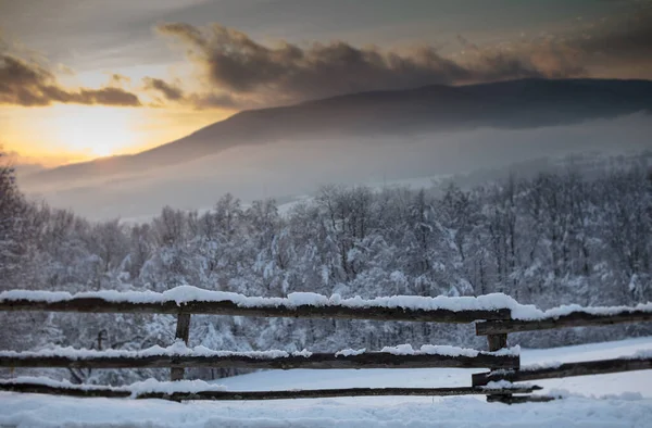 Wooden fence in the snow. The fence in the forest. Winter landscape.