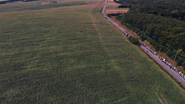 Pravoslavní Křesťané Jdou Náboženský Průvod Pohled Shora Průvod Silnice Zelená — Stock video