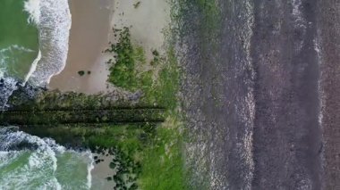 Okyanus dalgalarının kumlu sahil ve kayalık dalgalarla buluştuğu kıyı şeridi manzarası. Yeşil yosun ve yosunlar kayaların üzerine yayılarak canlı doğal dokular ve kıyı şekilleri oluşturur..