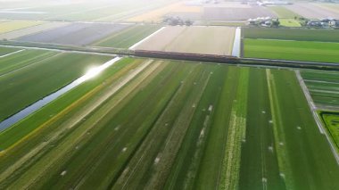 Hollanda 'nın geniş kırsal kesimlerinde yer alan renkli lale sıraları, seralar, otoparklar ve çevresindeki tarım arazileriyle dolu canlı bir çiçek çiftliğinin hava görüntüleri..