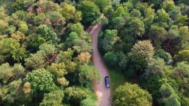 İki kıvrımlı asfalt yolu ve seyrek trafiği olan bir orman manzarası. Yoğun yeşil gölgelik altyapıyı çevreleyerek, doğa ve insan erişim yolları arasındaki zıtlığı vurguluyor..