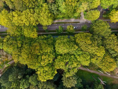 Aerial view of a paved road cutting through dense forest, with cars traveling in opposite directions and pedestrian paths weaving alongside and into the green canopy.