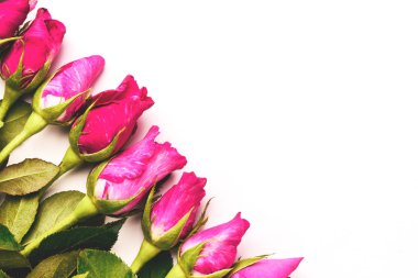 Pembe Gül üstüne düzenlemek görüntülemek kopya alanı ile düz yatıyordu sınır valentine ve düğün tatlı konsepti vintage sesi beyaz arka plan üzerine seviyorum.