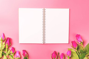 Valentine ve düğün tatlı aşk kavramı vintage sesini pembe bir arka plan üzerinde metniniz için pembe Gül en iyi görünüm düz boş Not Defteri ile dekoratif yatıyordu.