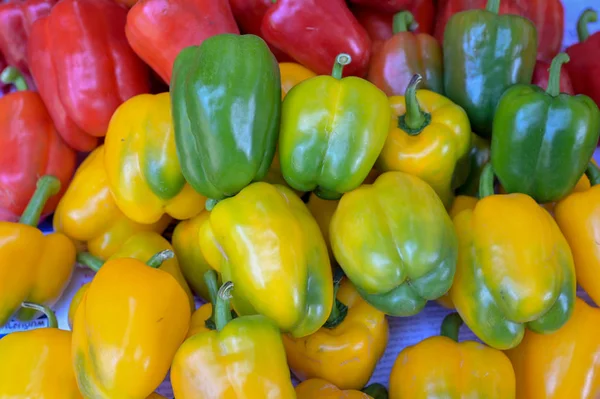 Renkli yeşil, kırmızı yeşil ve sarı biber arka plan kırmızı biber