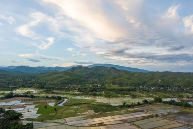 Tayland, Chiang Mai 'de hasat mevsiminde teraslı pirinç tarlası ve dağların manzarası..