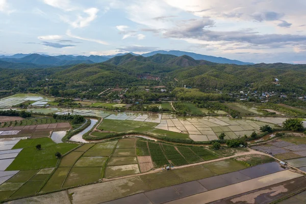 Veduta Aerea Della Risaia Terrazze Delle Montagne Nella Stagione Del — Foto Stock