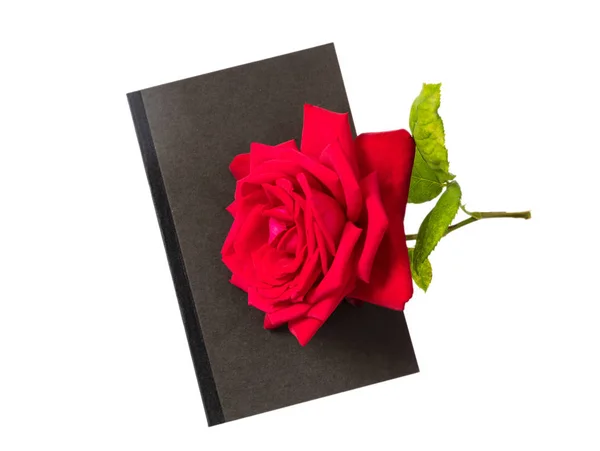 Czerwony Kwiat Róży Zielonych Liści Łodygi Czarny Pamiętnik Książka Białym — Zdjęcie stockowe